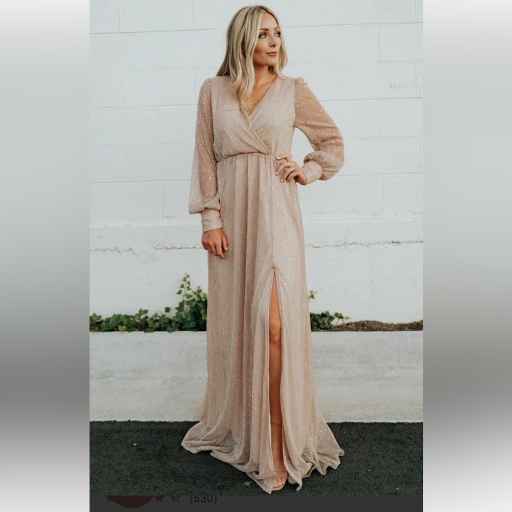 NWT Baltic Born Abigail Sparkle Gown Champagne